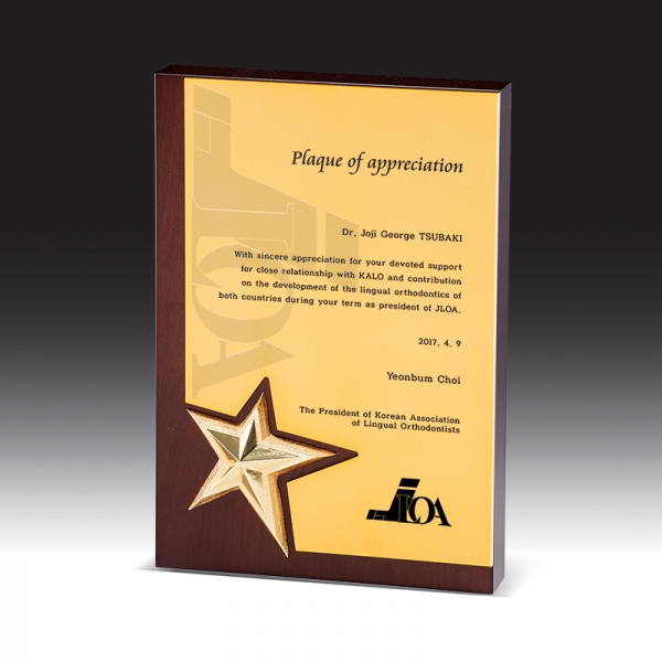 우드금속 상패 HB-7369